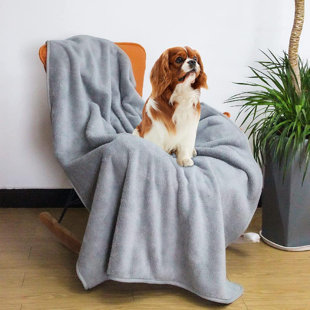 outdoor dog blanket