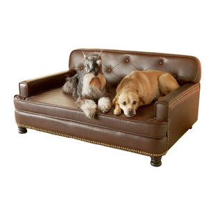 leather dog couch