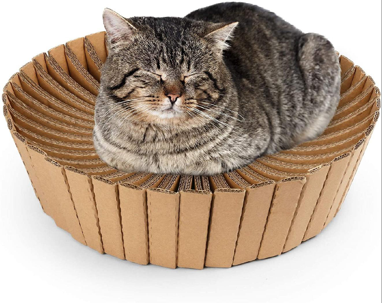circle cat scratcher