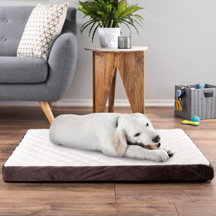 dog bed with rubber bottom