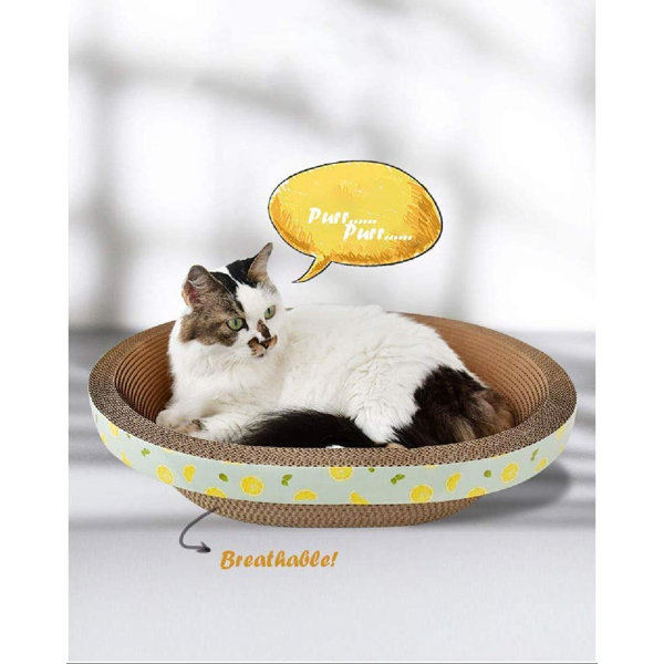 large cat scratch pad