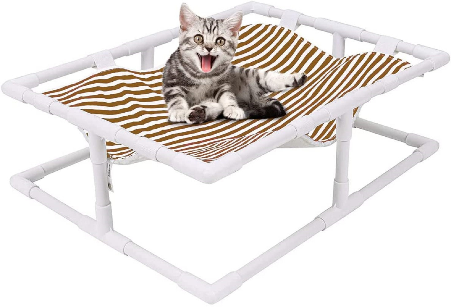 cat cot