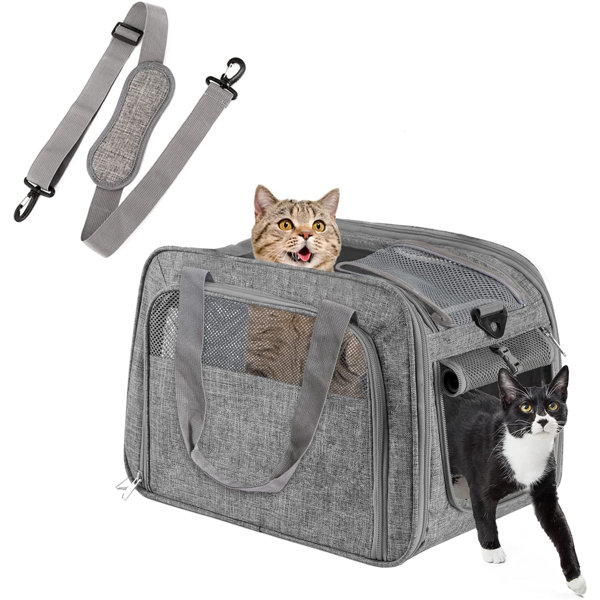 top load cat carriers