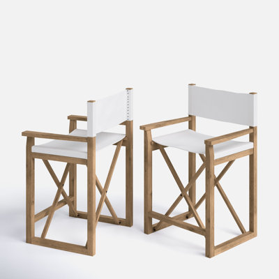 Chestle Bar & Counter Stool by Joss and Main