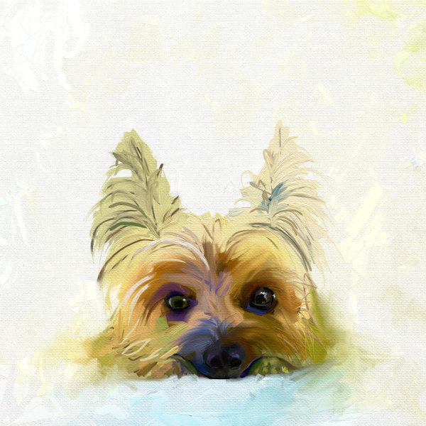 yorkie decorative items