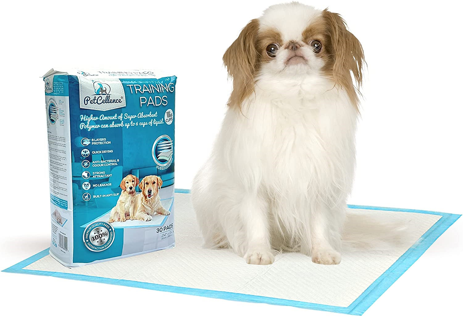 absorbent dog pads