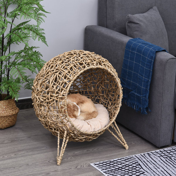 cane cat bed