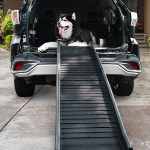 dog ramp for loft bed