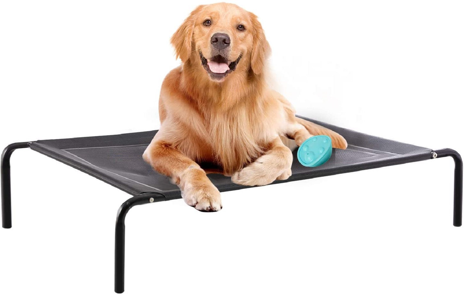 large elevated dog bed