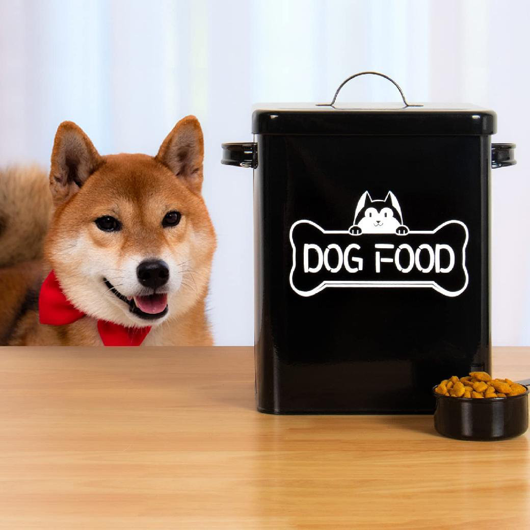 shiba throws food bowl