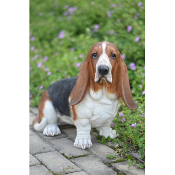 small basset hound