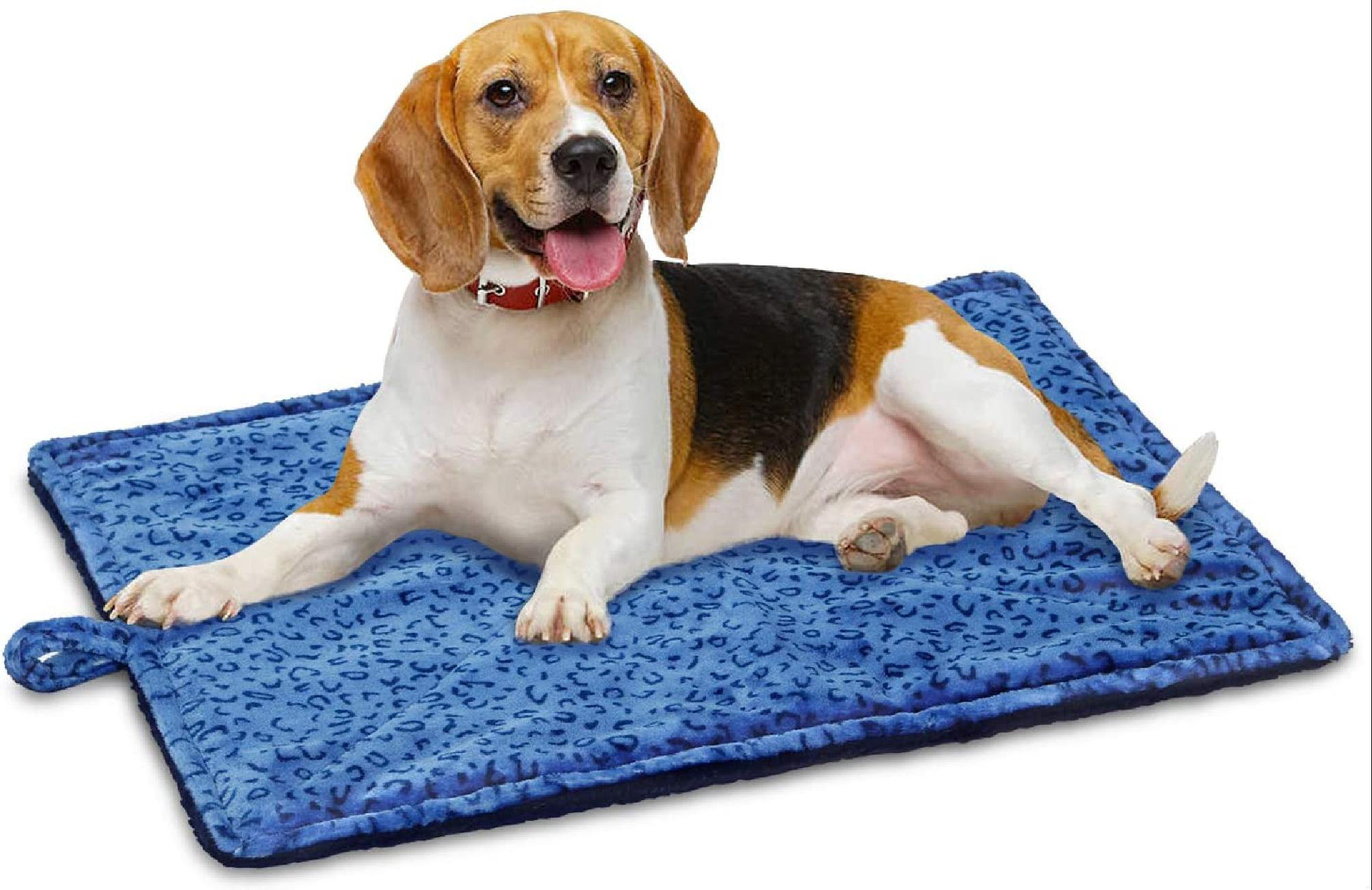 blue beagle crate mat