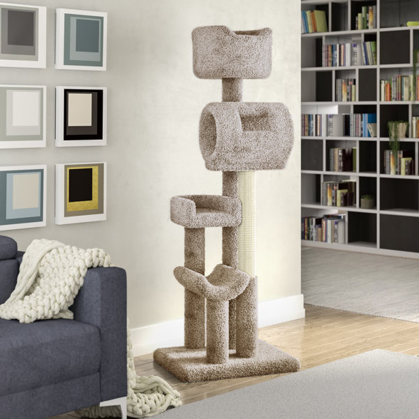 cat bookcase climber