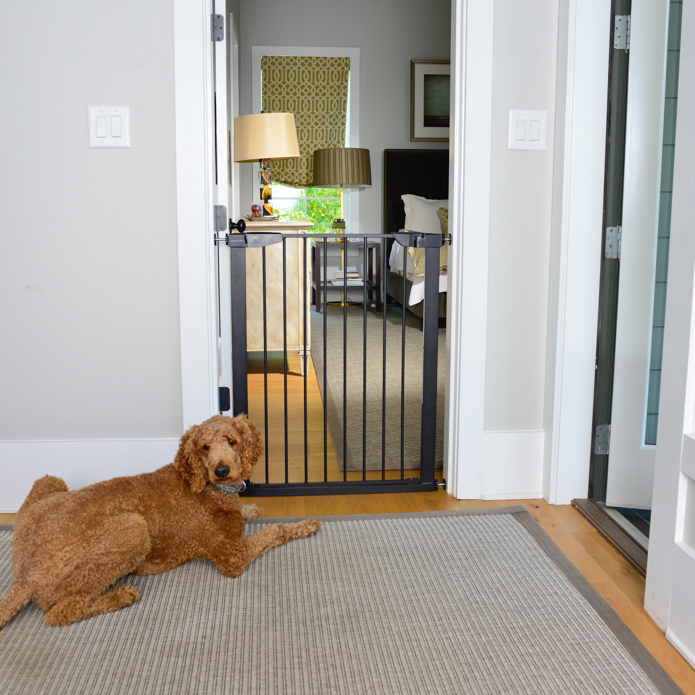 tall dog gate for house