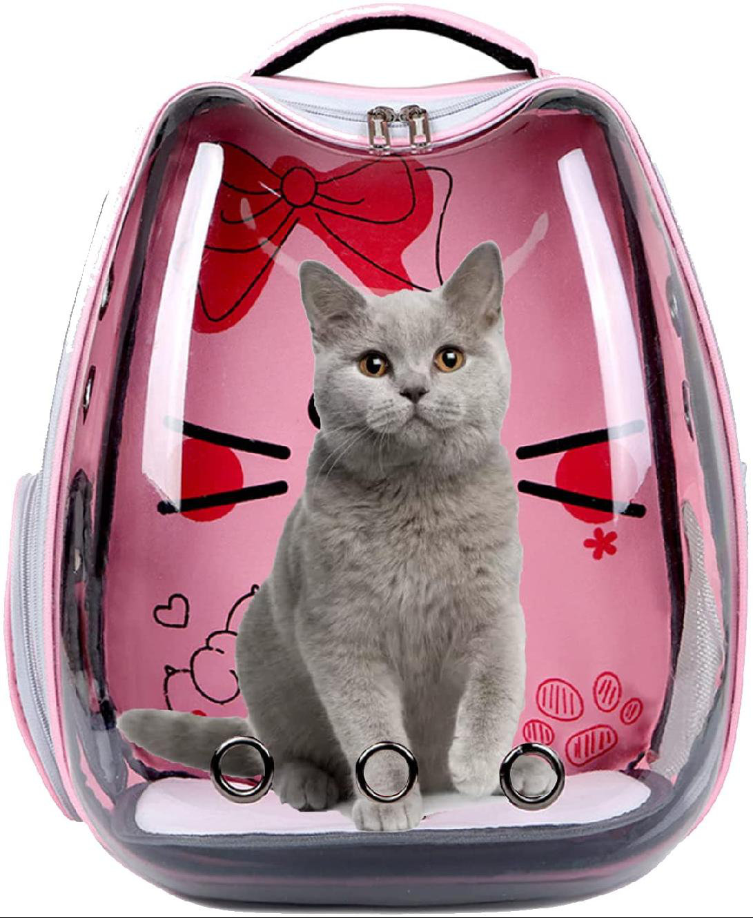 extra small cat carrier