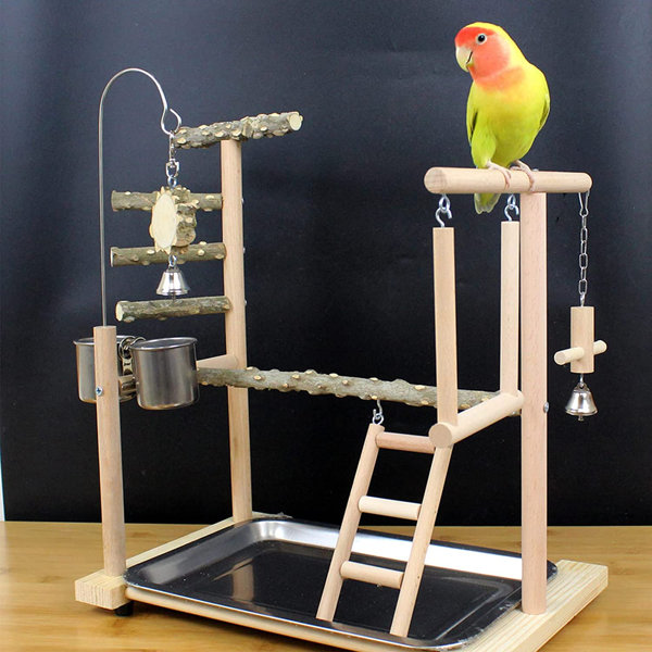 macaw play gym