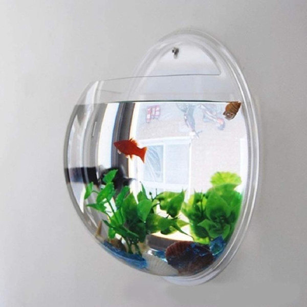 wall fish bowls