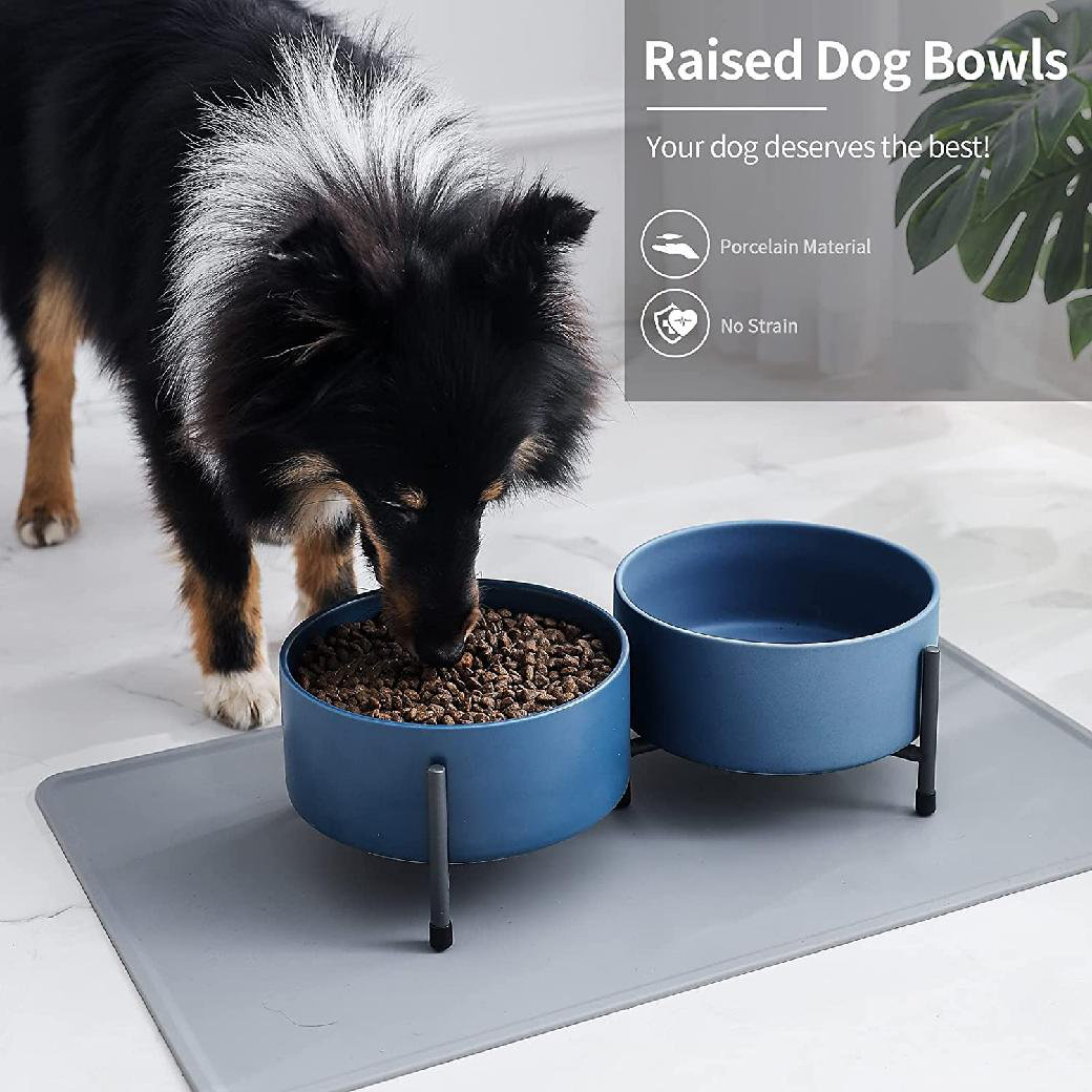 upright dog feeder