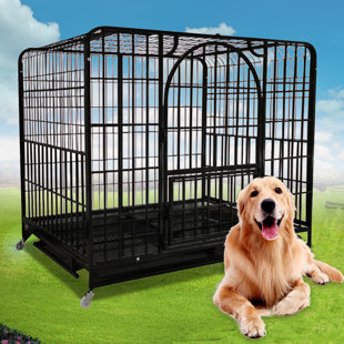 54 inch dog crate with floor pan