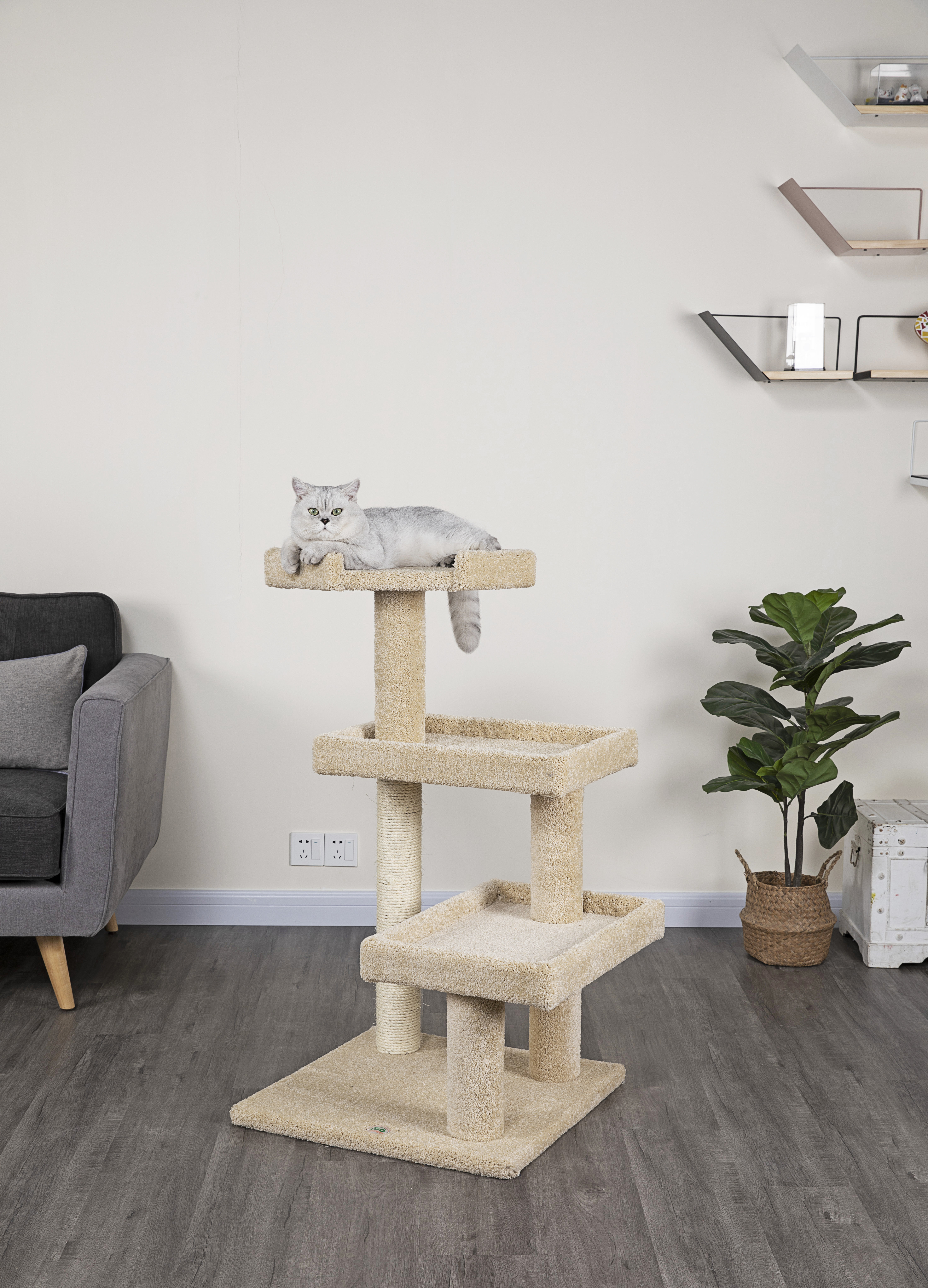 42 inch cat tree