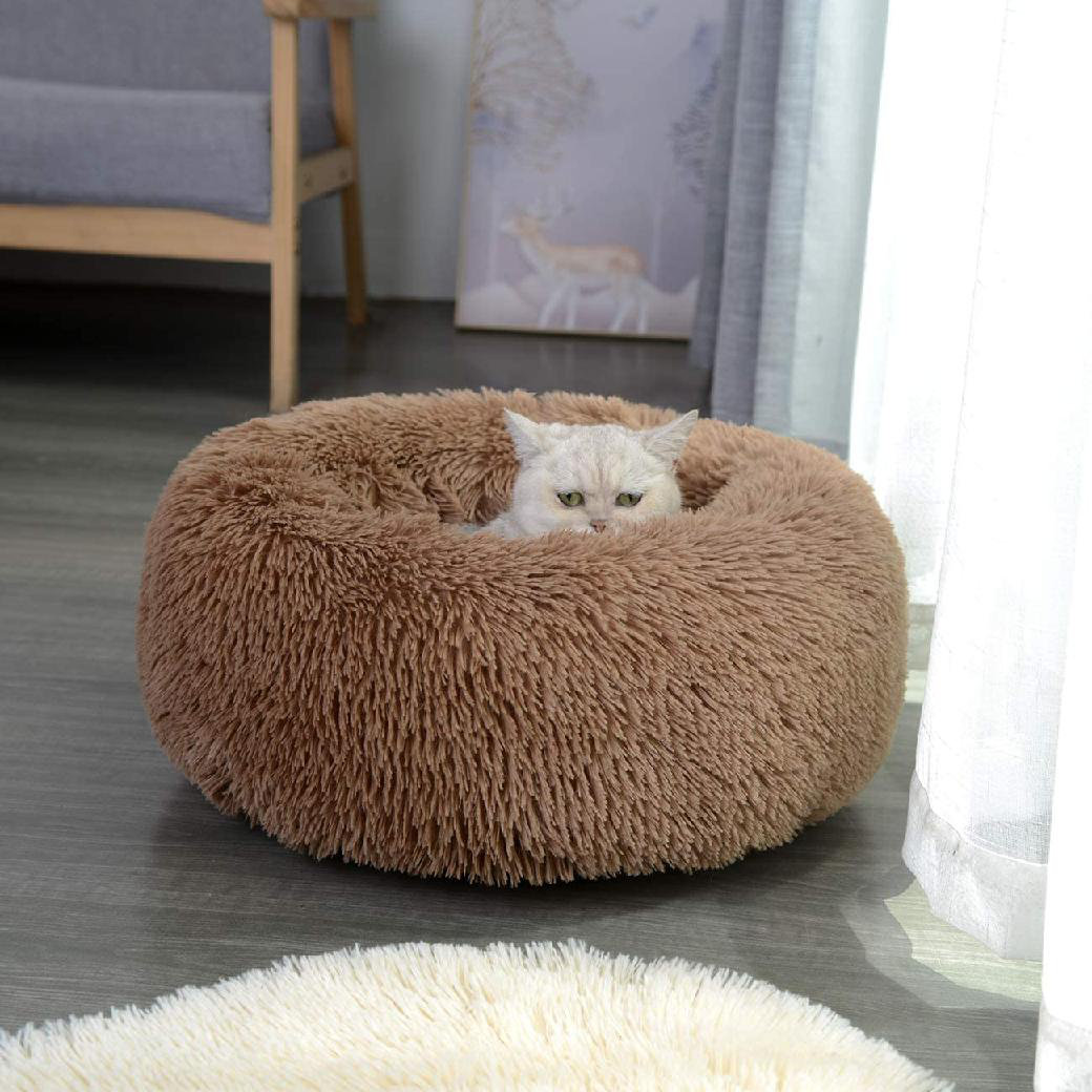 cat mattress bed