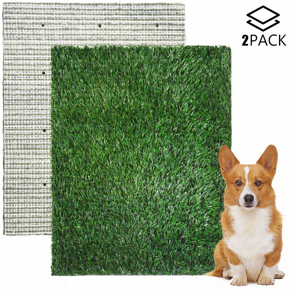 dog grass pad