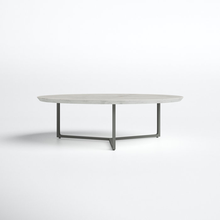 Joss and Main Huchinson Frame Coffee Table