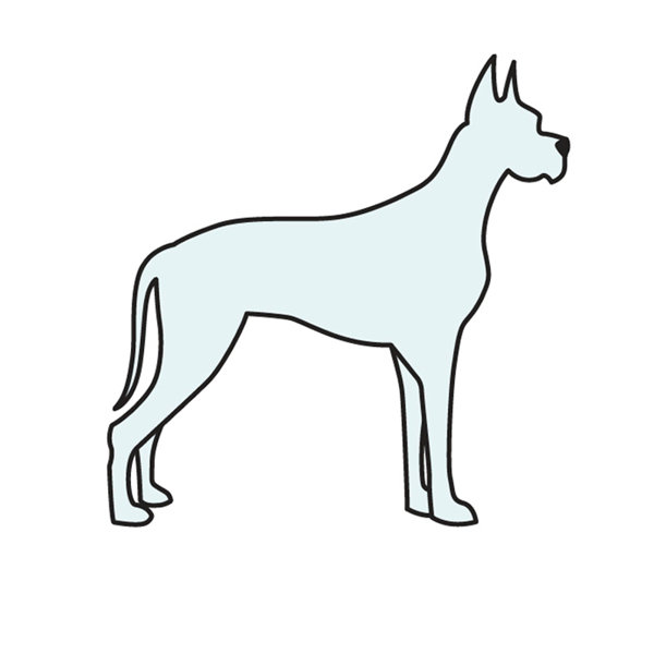 extra extra large dog beds