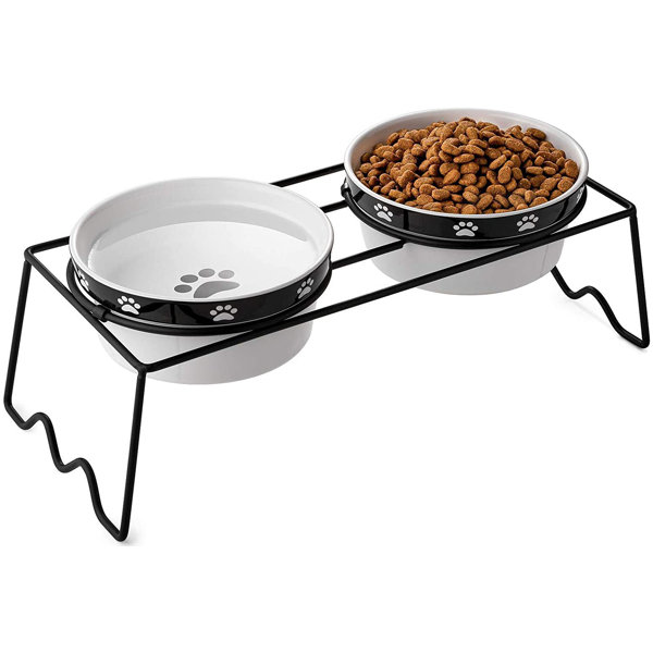 top paw elevated feeder