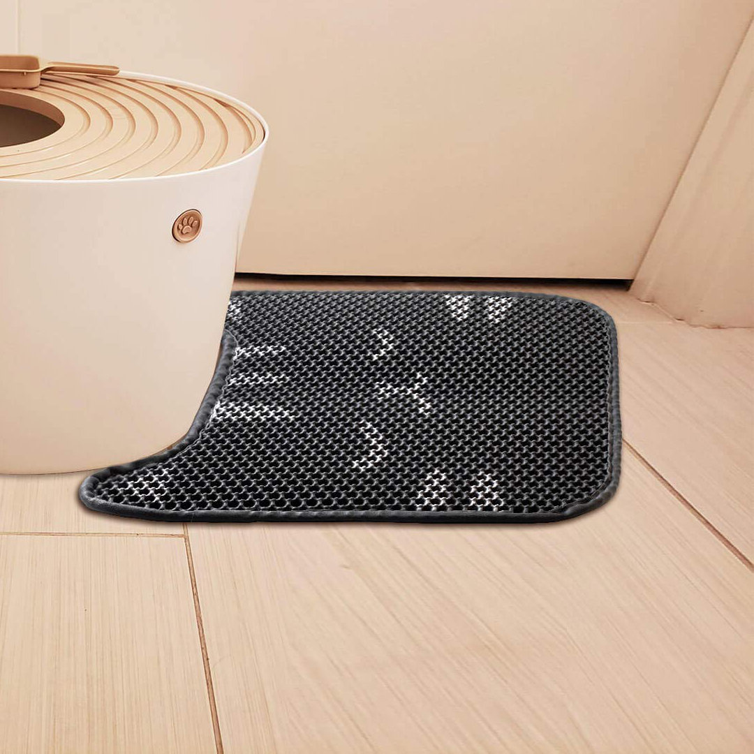 cat litter on carpet